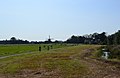 On the Waterliniepad hiking route near Spaarndam, view towards the South