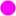 Location dot magenta.svg