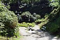 Saint-Goazec, parc du château de Trévarez : allée du parc près de la cascade du vallon romantique