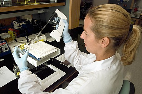A microbiologist at work
