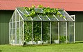 36 Small greenhouse with grapevines escaping uploaded by W.carter, nominated by W.carter