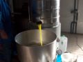 Vertical centrifuge with oil