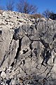 Karst landscape. Dissolution images and rock fractures are visible. Selective dissolution is the cause of grize