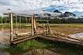 36 Wooden bench swing and wicker hammocks on a bamboo footbridge in paddy fields a sunny day during the monsoon, Vang Vieng, Laos uploaded by Basile Morin, nominated by Basile Morin,  18,  0,  0