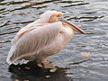 Zoo Cottbus, Germany