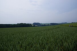 A part of Mettmann - panoramio (2).jpg