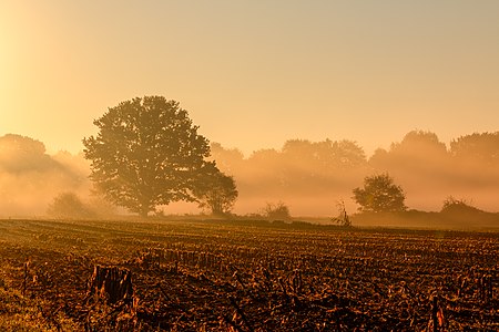 Dülmen, Kirchspiel, Bauerschaft Börnste (2017)