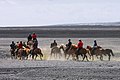 Horseback tourism in Vatnajökull National Park