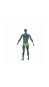 202304 Gluteus maximus muscle.svg