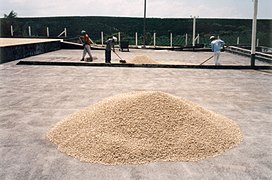 Coffee Patio Dried