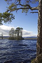 Loch Garten, Nethybridge, Scotland