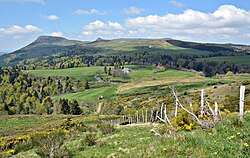 Versant sud col de la Croix Morand en Auvergne