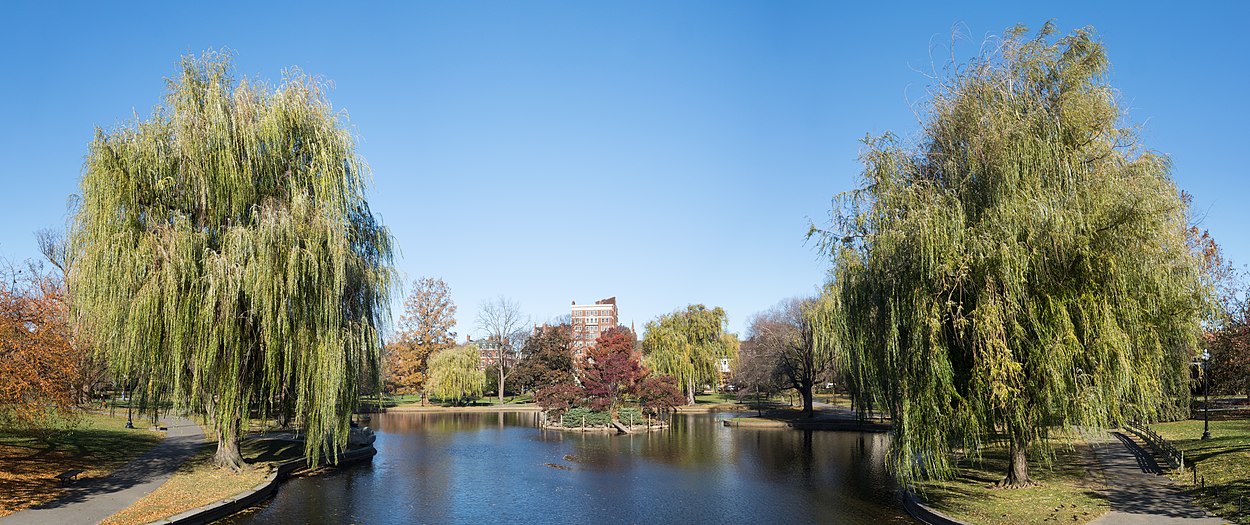 Boston Public Garden