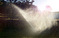 Sprinkler Irrigation