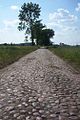 Cobblestoned road, Poland