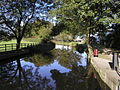 Canal at Ripon