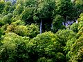 Erster Blick auf den Wasserfall im Wald