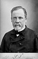 Félix Nadar (1820-1910), French biologist Louis Pasteur (1822-1895), 1878.