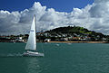 Mt Victoria and sailboat