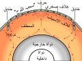 العربية • arabiera