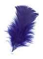 artificially coloured feather