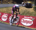 Rolf Aldag, Tour de France 2003
