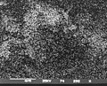 EDAX analysis of an SEM image