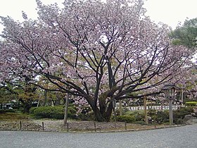 Kenrokuen