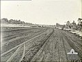 AITAPE, NORTH EAST NEW GUINEA. 1944-02-25. RAAF GROUND FORCES WHO WENT IN WITH AMERICAN STORM TROOPS WERE WORKING ON THE AIRSTRIP AT TADJI A FEW HOURS AFTER ITS CAPTURE. HERE THEY ARE SHOWN LEVELLING AND HARDENING THE STRIP SURFACE ON THE MORNING OF THE SECOND DAY.