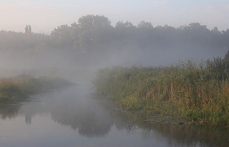 "Desna_river_Vinn_meadow_2016_G9.jpg" by User:George Chernilevsky