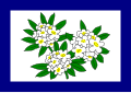 Flag of West Virginia (1905-1907).