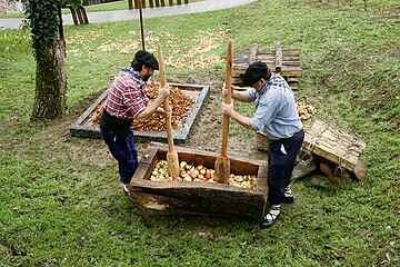 Hand crushing apples in the Basque Country