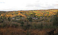 Bodenna, 22 novembre 2013. En haut : Tibéron. Au fond à droite : Tuchenn Kador