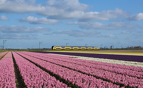 NS DD-IRM Schagen