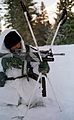 US Marine in an arctic environment with M16A2 with M203 grenade launcher mounted.