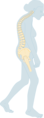 Menopause - Osteoporosis