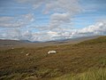 Rannoch Moor, Scotland (1/1)