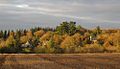 Village de Roquinac'h en Saint-Rivoal, le 16 novembre 2013