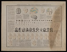 The basic elements of phrenology, physiognomy and palmistry Wellcome L0074425.jpg