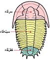 Persian JPG