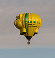 Ballon D-OKHO op de Jaarlijkse Friese ballonfeesten in Joure.