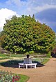 Rundbank im Botanischen Garten