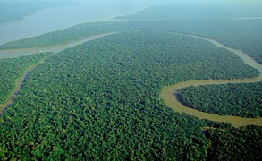 Aerial view of the Amazon Rainforest.jpg