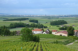 La montagne de Reims