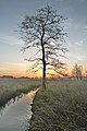 Nature reserve Oberalsterniederung South of Schleswig-Holstein IV