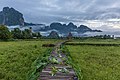 92 Wooden walkway leading to a hut with straw roof in front of karst mountains with mist, at sunrise, Vang Vieng, Laos uploaded by Basile Morin, nominated by Basile Morin,  12,  0,  1