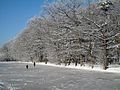 Eiswiese im Stadtpark