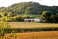 A farm in Grafton