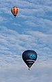 Meerdere ballonnen gelijktijdig in de lucht tijdens de Jaarlijkse Friese ballonfeesten in Joure.