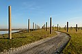 28 Palo Alto Baylands January 2013 002 uploaded by King of Hearts, nominated by King of Hearts